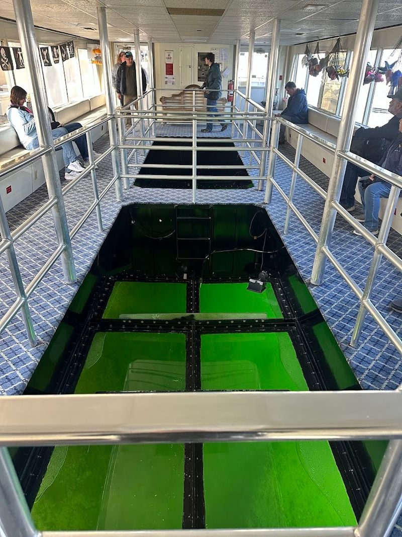 Key Largo Princess Glass Bottom Boat - Key Largo