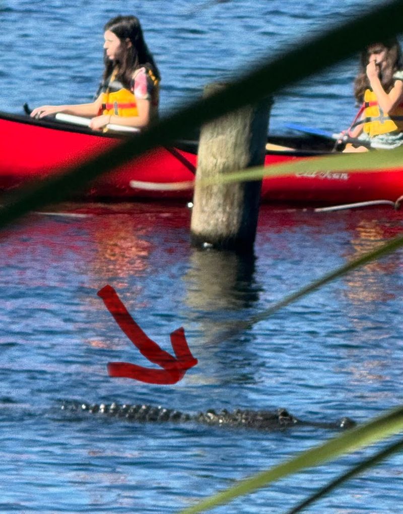 Manatee Springs State Park