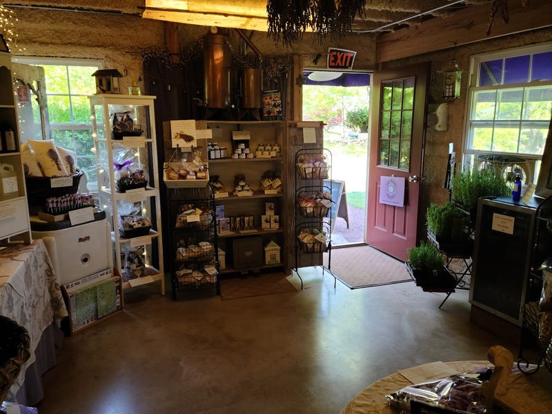 Planning Essentials: Hours, Parking, and Weather