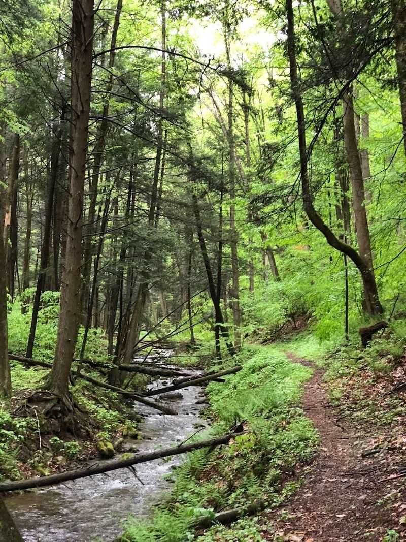 Hyner Run State Park (North Bend area)