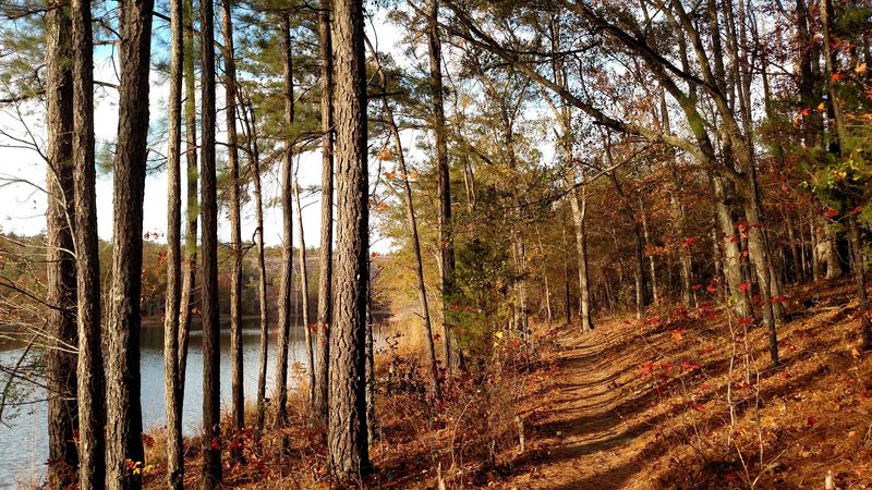 Arabia Mountain Trail