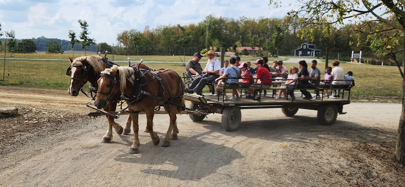 The Farm at Walnut Creek - Easter Egg Hunt