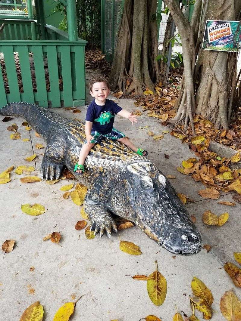 Family-Friendly Features - Perfect for All Ages and Young Children