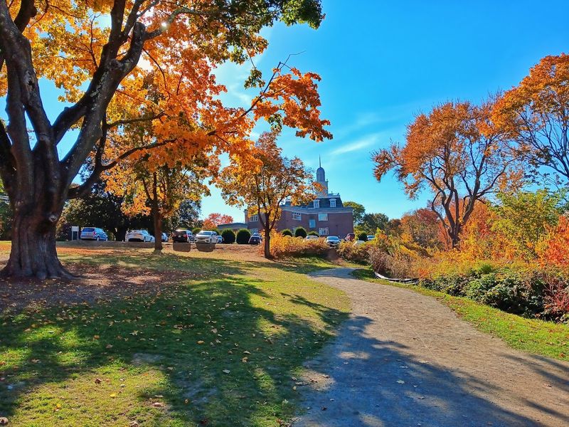 Parking Without The Hassle