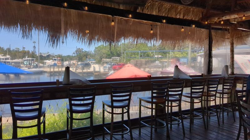 The Marina Atmosphere and Wildlife You Can Watch From Your Table