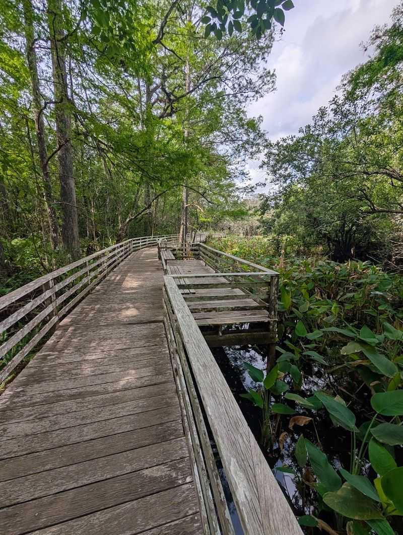 Corkscrew Swamp Sanctuary &mdash; Naples, FL