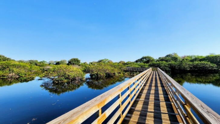 Some Of The Most Breathtaking Boardwalks In America Are In Florida And They Have Nothing To Do With The Beach