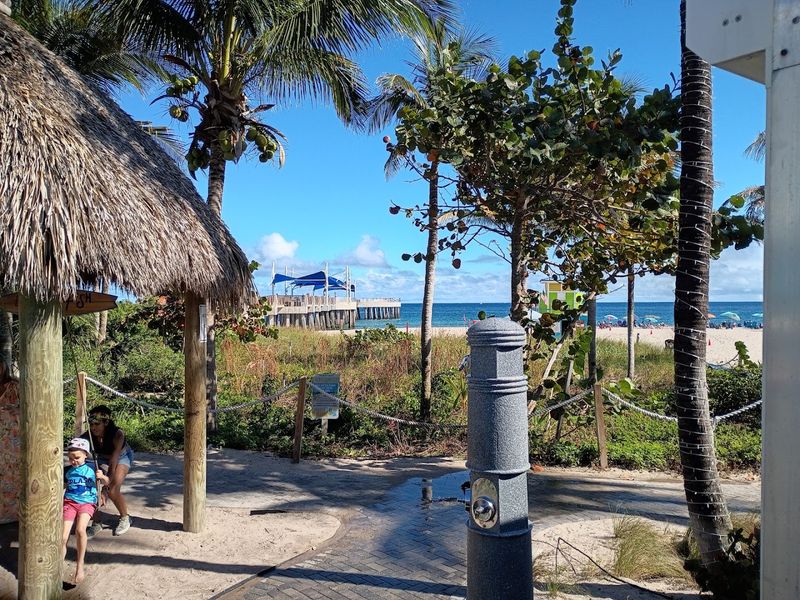 Planning a Visit: What to Know Before You Go