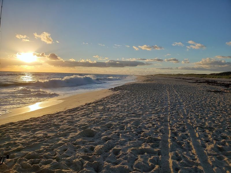 Year-Round Surfability by Florida Standards