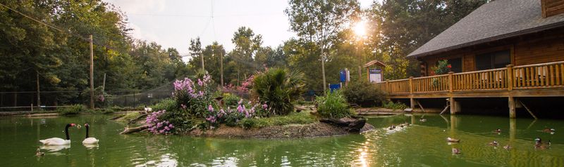 Admission, Cafe, and Practical Visitor Tips