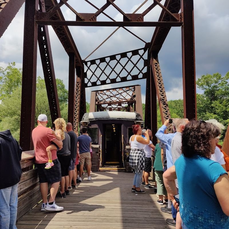 Wildlife Spotting Along the Creek