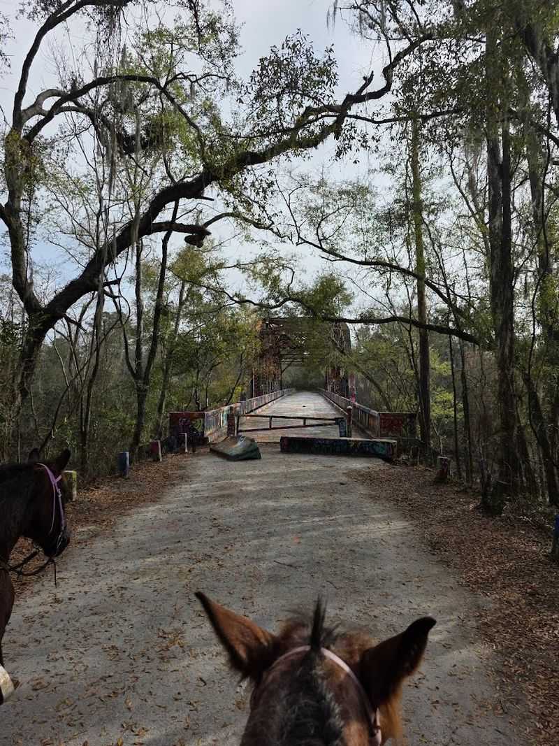 Horseback Riding and Equestrian Camping