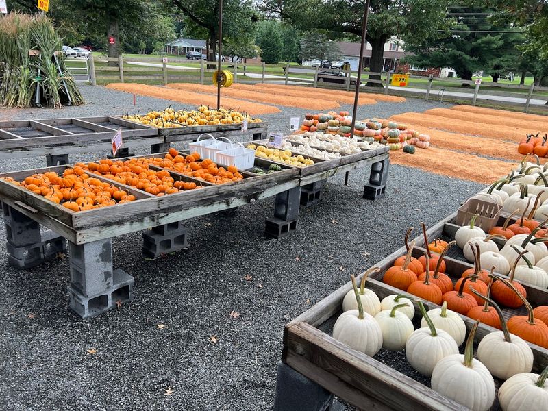 What Makes This Place Feel Different From Every Other Farm Stand