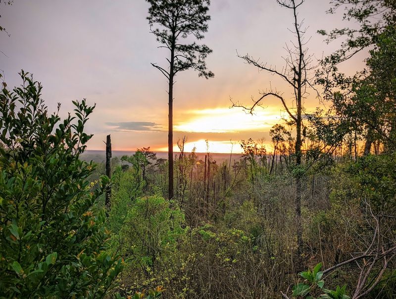 Torreya State Park (Bristol)