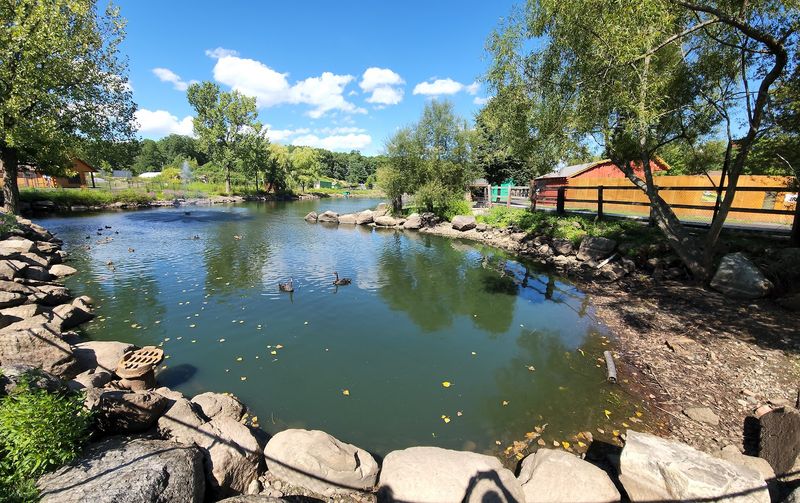 Gardens, Quiet Corners, and Pollinator Inspiration