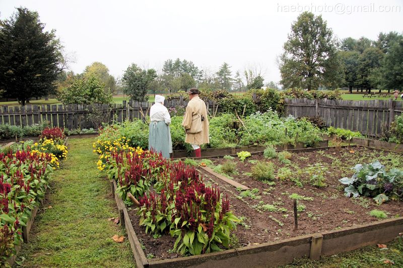 Follow the Story of Peter and Rosanna Wentz