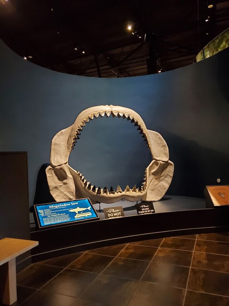 Rotating Special Exhibits and Events