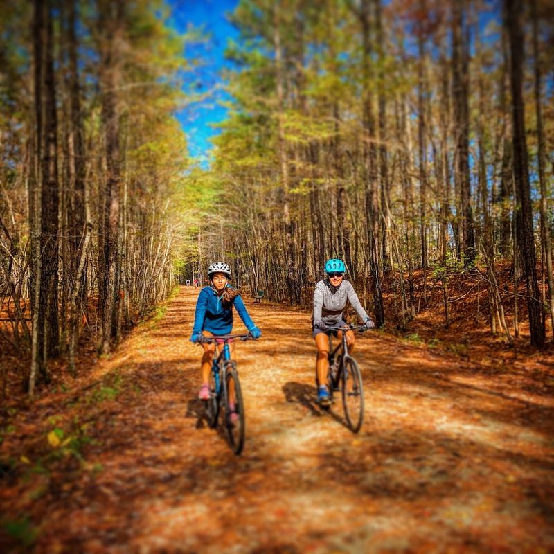 Crossing Into Wake County: A Change of Scenery