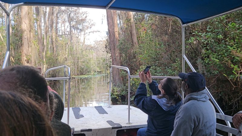 Ranger-Led Tours and Educational Programs