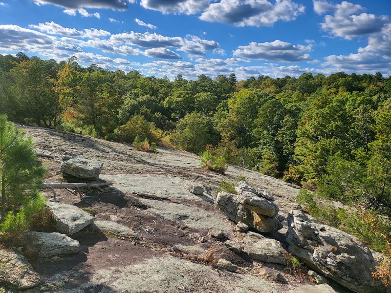 Panola Mountain State Park Restricted Summit Hike