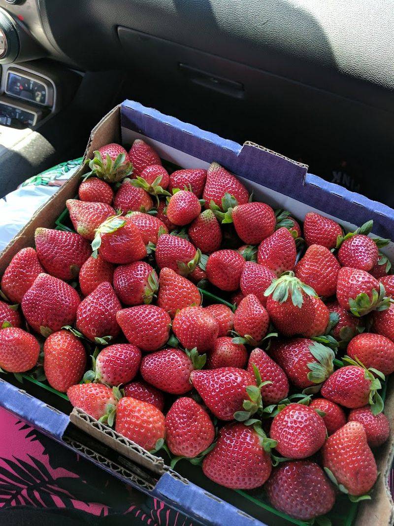 Fresh Strawberries By The Flat