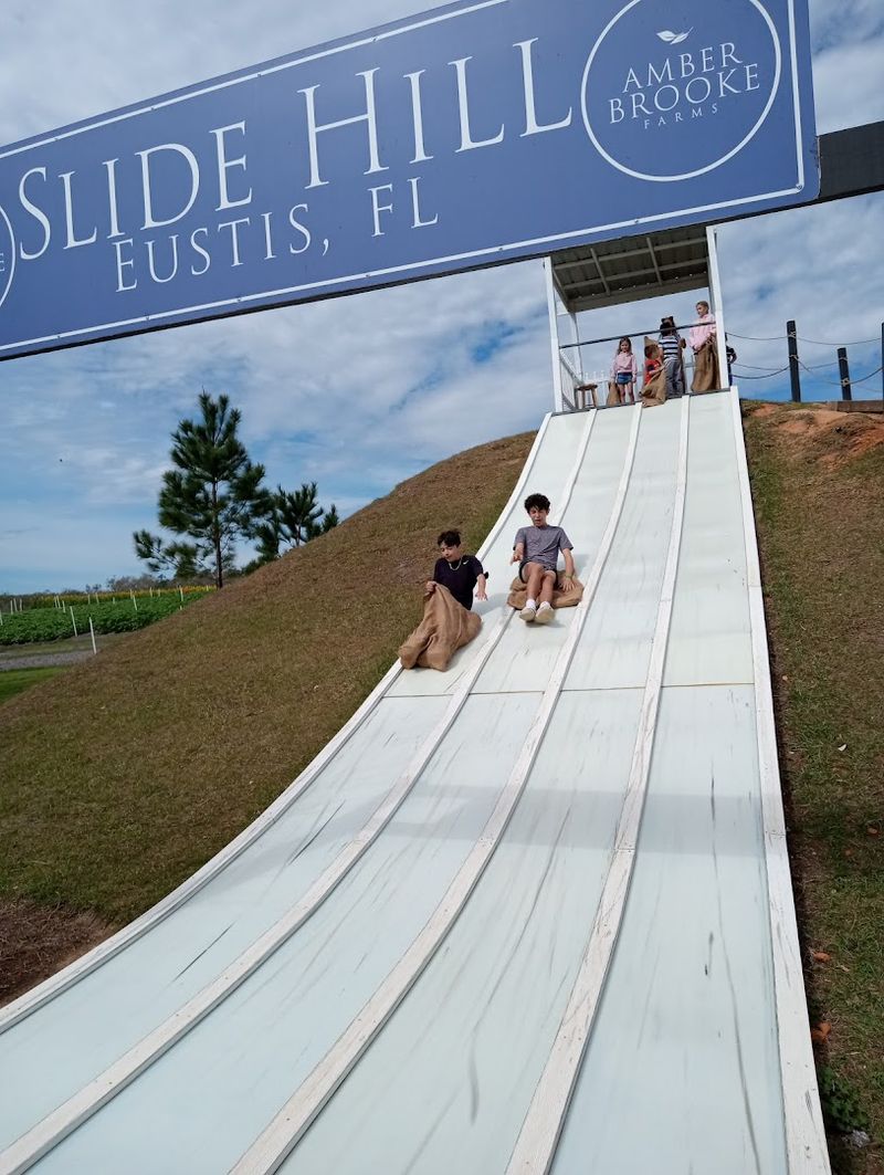 A Playground Packed With Farm-Themed Fun