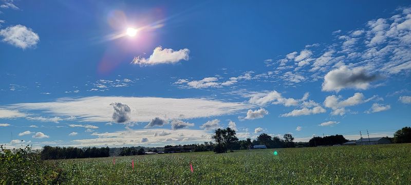 Four Distinct Seasons Without Extreme Climate Pressure