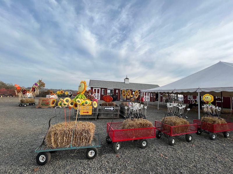 Creative Playground & Activity Zones