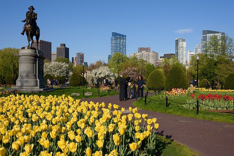 Spring Walk at Boston Public Garden