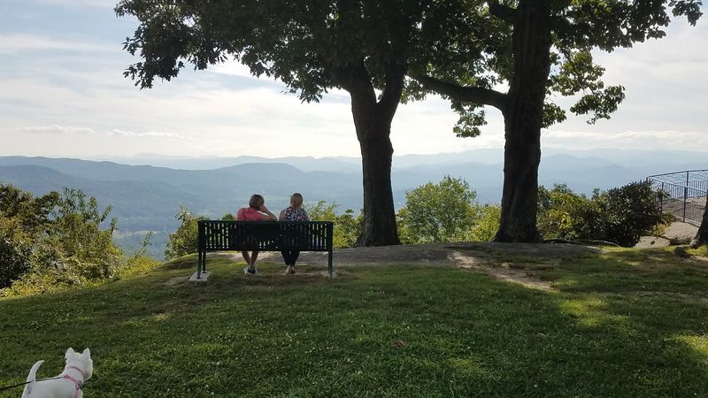 Picnic-Friendly Grounds With Mountain Scenery as Your Backdrop