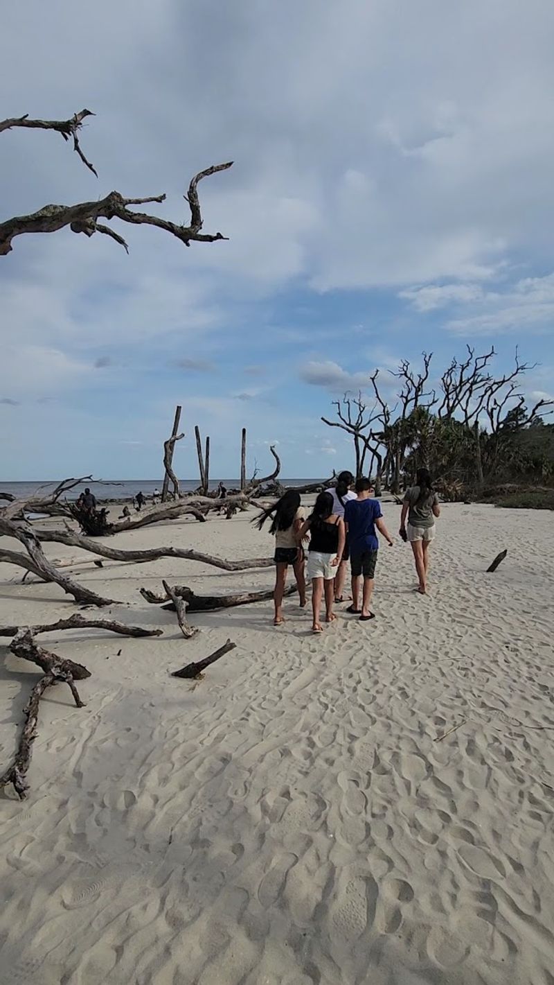 Why Driftwood Beach Belongs on Your Georgia Bucket List