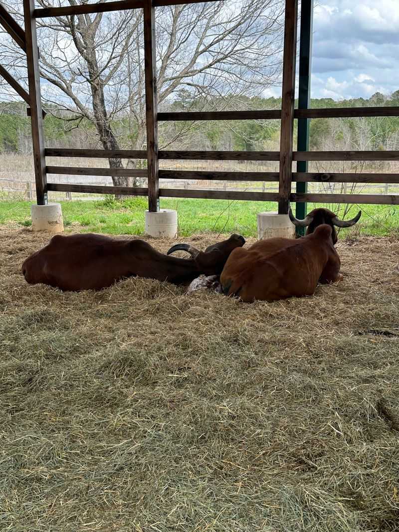 Visiting Hours, Location, and How to Plan Your Trip