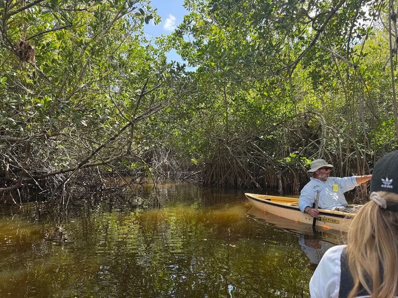 Everglades National Park - South Florida, FL