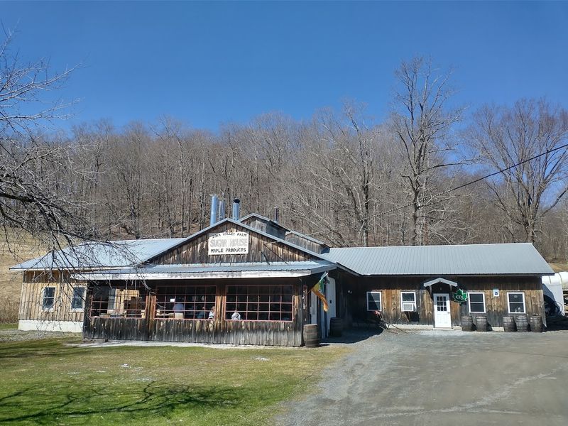 Maple Sugaring at Ioka Valley Farm