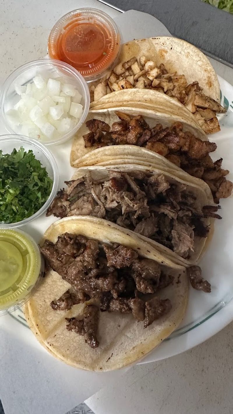 Tex Mex Food Truck (Parkesburg)