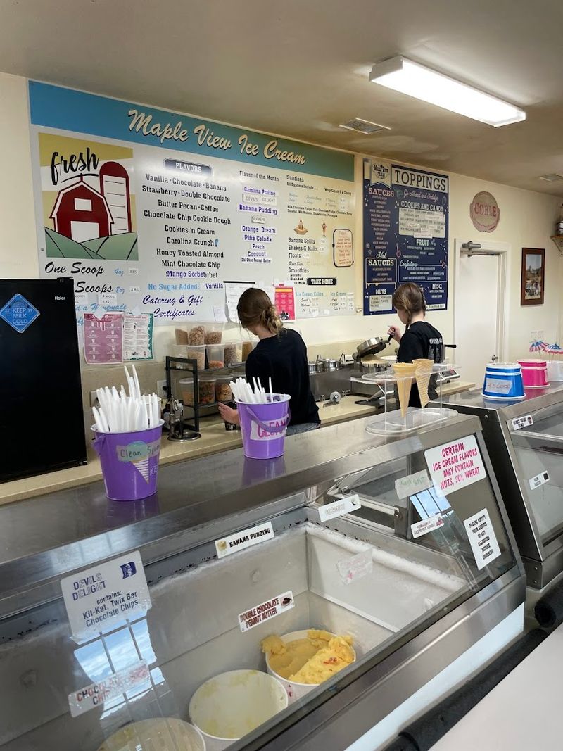 Practical Details: Hours, Contact, and What to Expect