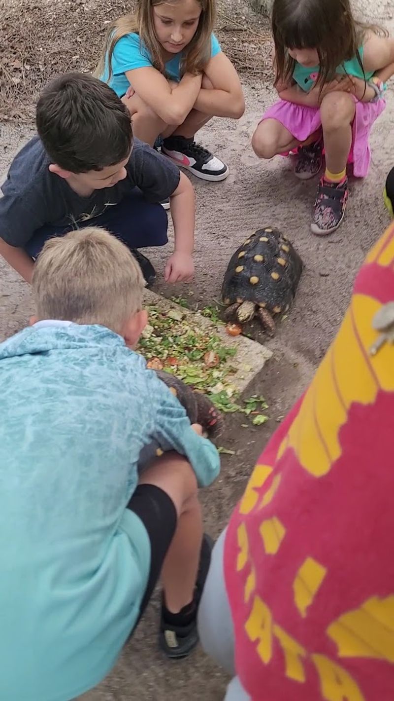McCarthy Wildlife Sanctuary Educational Center