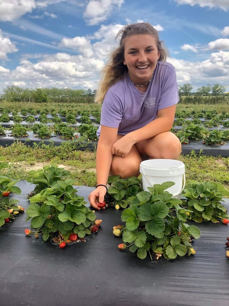Greene Acres Farm &ndash; Cochran, GA