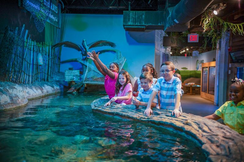 Catawba Science Center - Aquarium Galleries