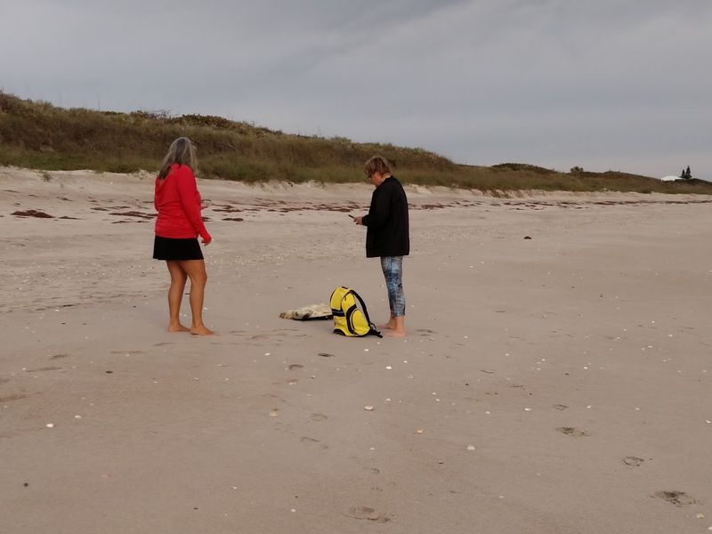 Archie Carr National Wildlife Refuge