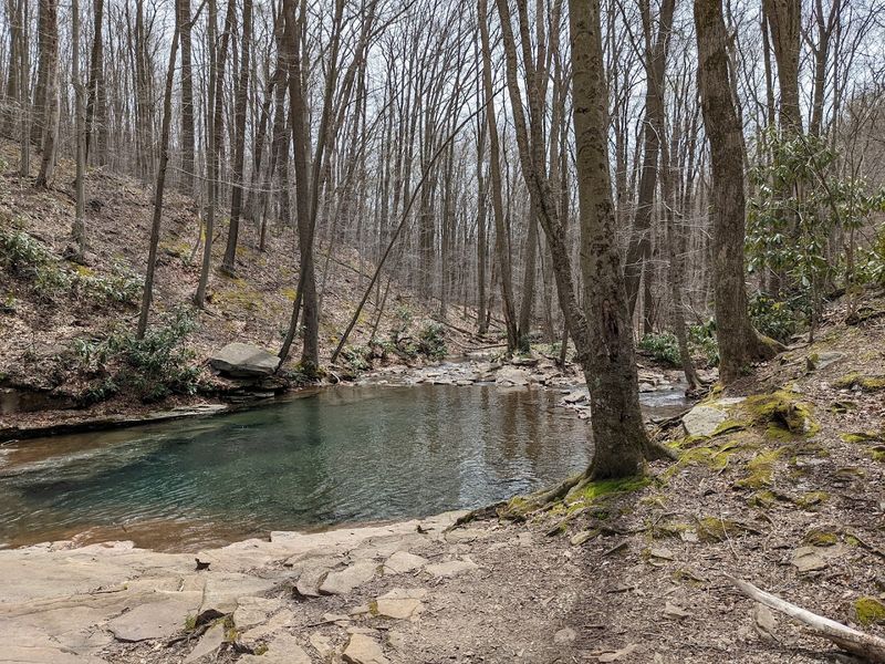 The Approach of Gravel, Pine, and Warm Dust