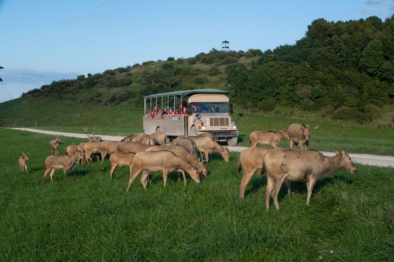 The Wildside Off-Road Safari Tour