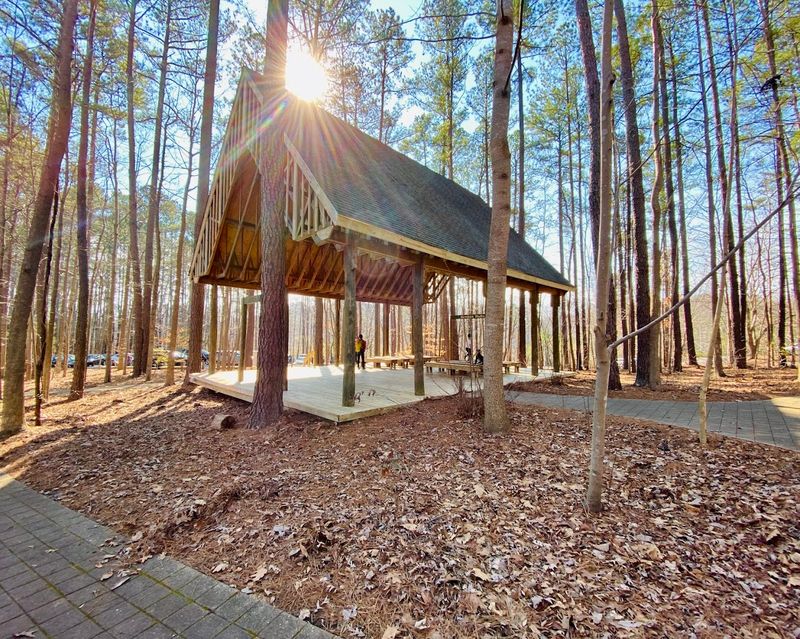 Swift Creek Bluffs and the Scenic Overlooks Along the Way