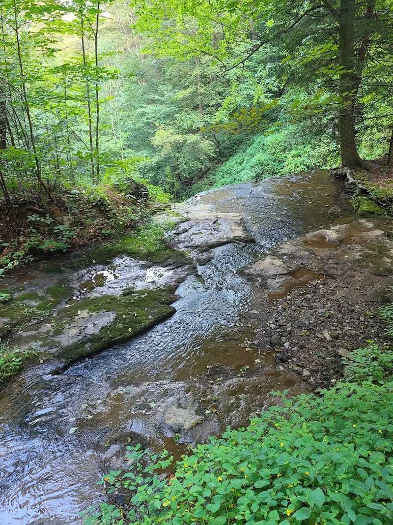 A Natural Area Managed for Preservation