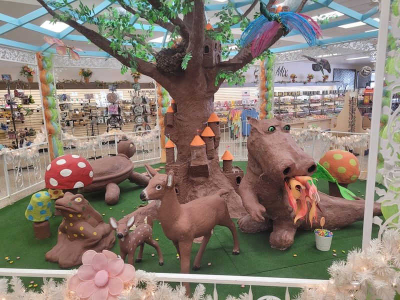 The Chocolate Kingdom: More Than Just One Turtle