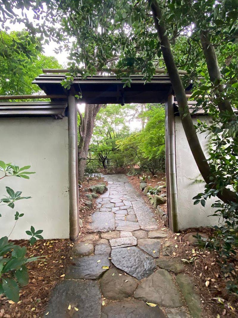 Year-Round Beauty: Winter Through Summer