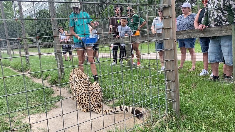 Saturday Tours: Your Best Chance to See It All