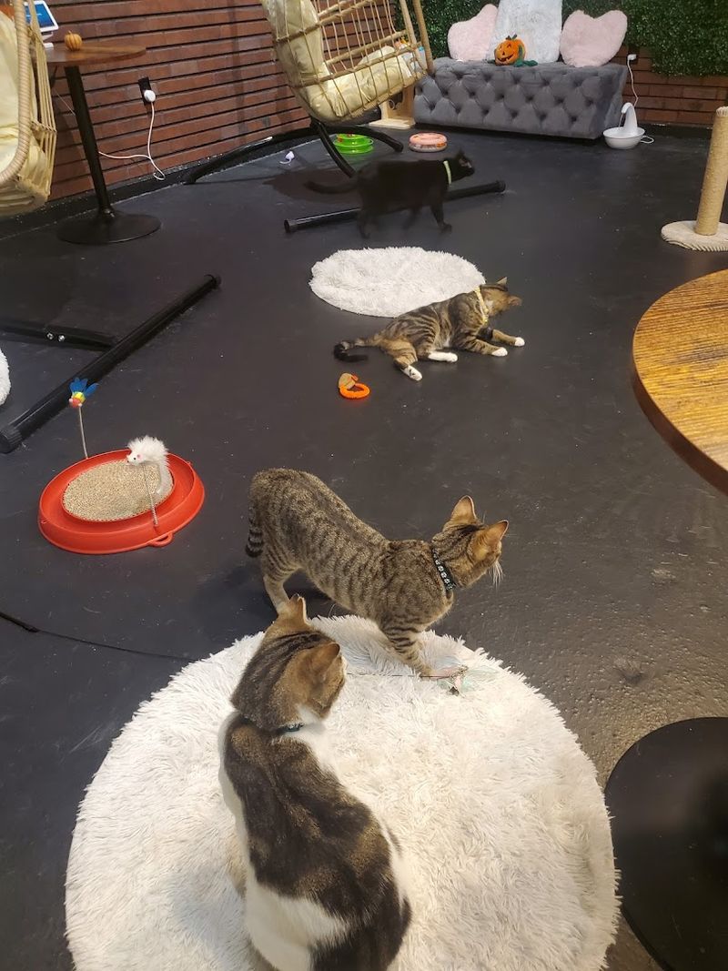 How Reservations Work