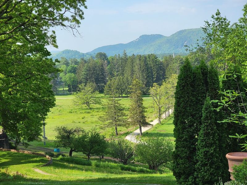 A Global Mix of Garden Styles