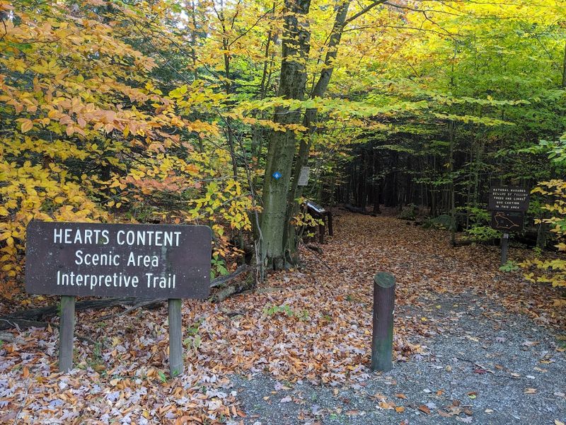 The Hearts Content Scenic Area Trail Loop